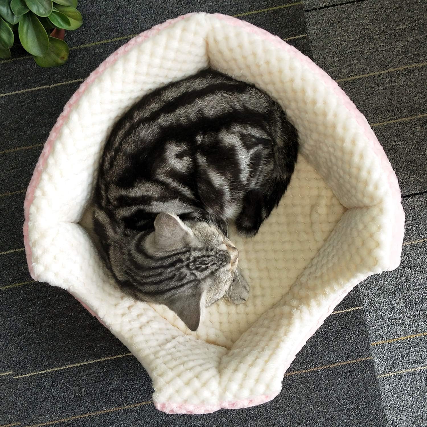 Petper Cat Bed, Cat Self Warming Bed & Sofa, Pink : Pet Supplies