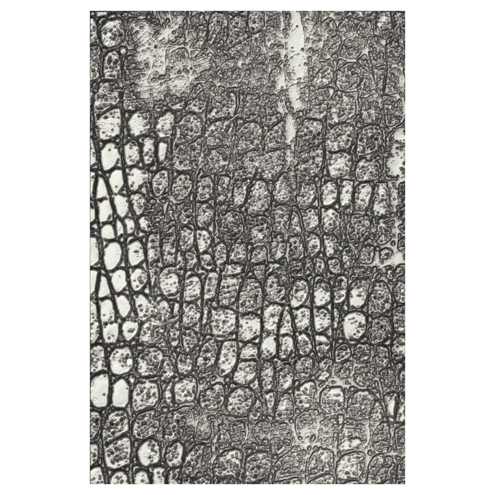 Sizzix 3-D Texture Fades Embossing Folder Reptile by Tim Holtz