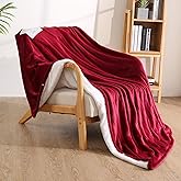 Electric Heated Throw Blanket 50" x 60", Soft Flannel Throw Blanket with 4 Heating Levels & 4 Hours Auto Off, Machine Washable for Home Office Use