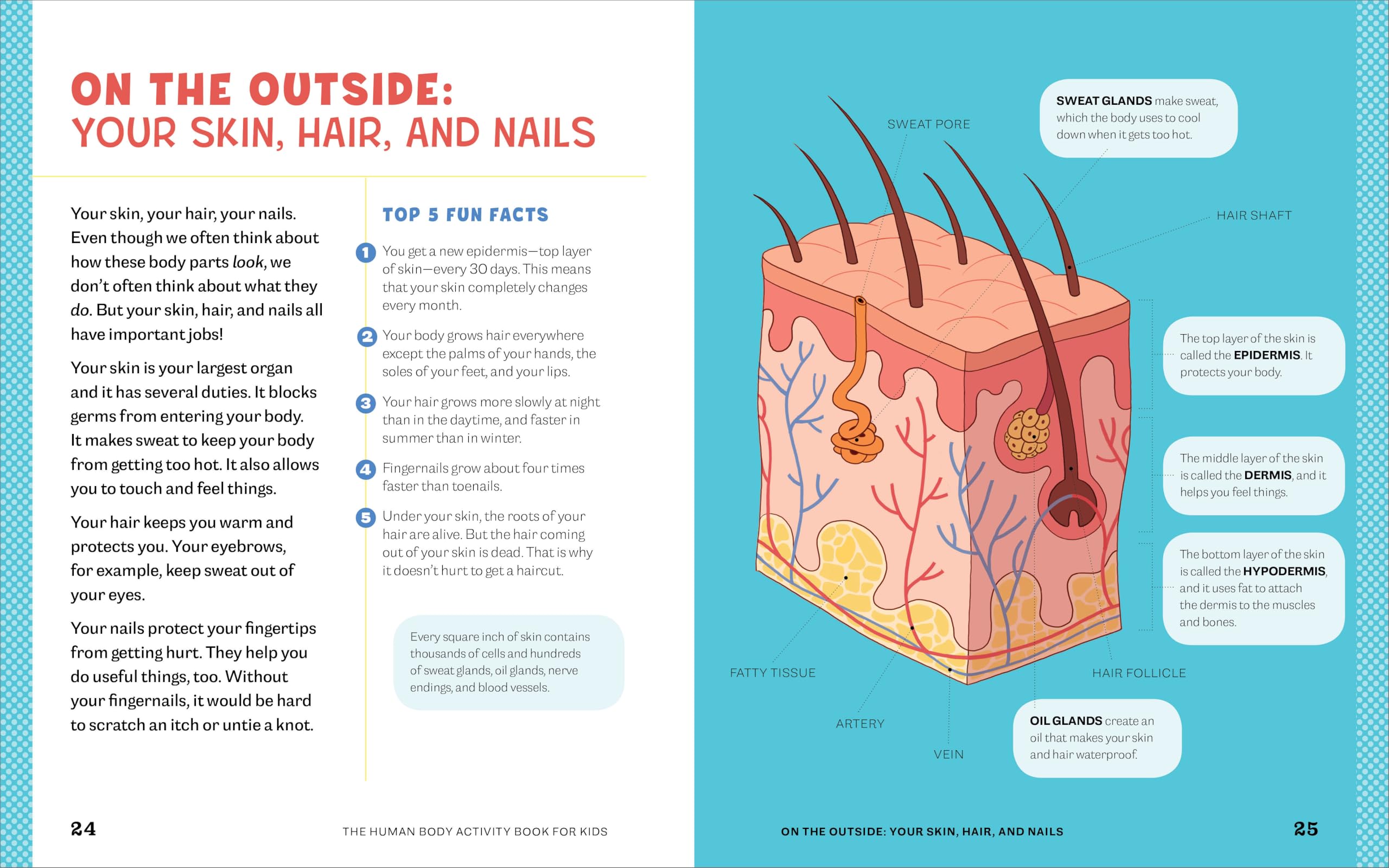 Human Body Activity Book for Kids: Hands-On Fun for Grades K-3 Human Body Activity Book for Kids: Hands-On Fun for Grades K-3 Paperback Spiral-bound