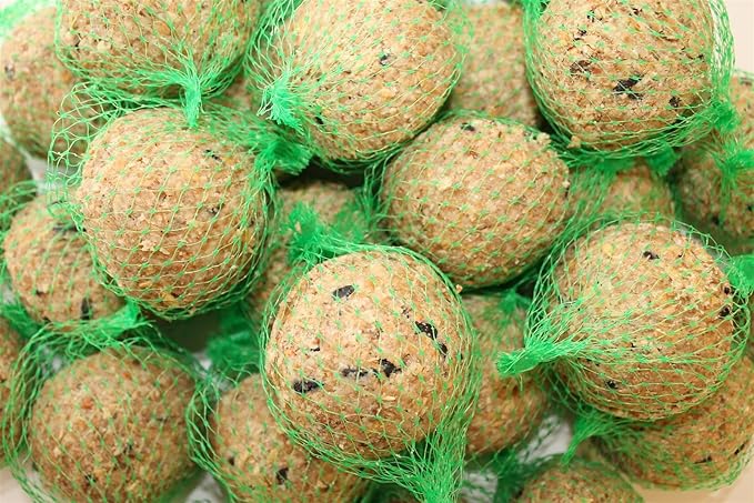 Meisenknödel 100 Stück mit Netz mit Insekten Anhaltiner Vogelfutter