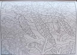 Creative Haven Sea Life Color by Number Coloring Book (Adult Coloring