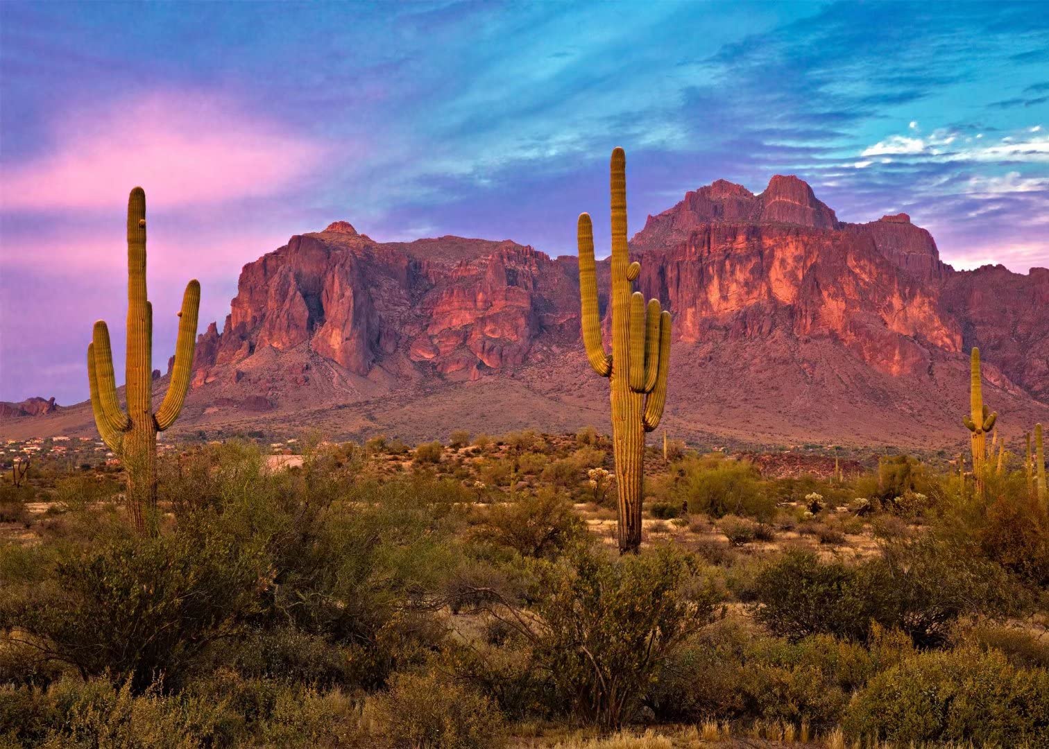BELECO 2.1x1.5m Fabric Arizona Desert Backdrop for Photography Western Party Decor Blue Sky Sand Dunes Prickly Cactus Saguaro Wilderness Mountain Background Cowboys Children Adult Portrait Photo