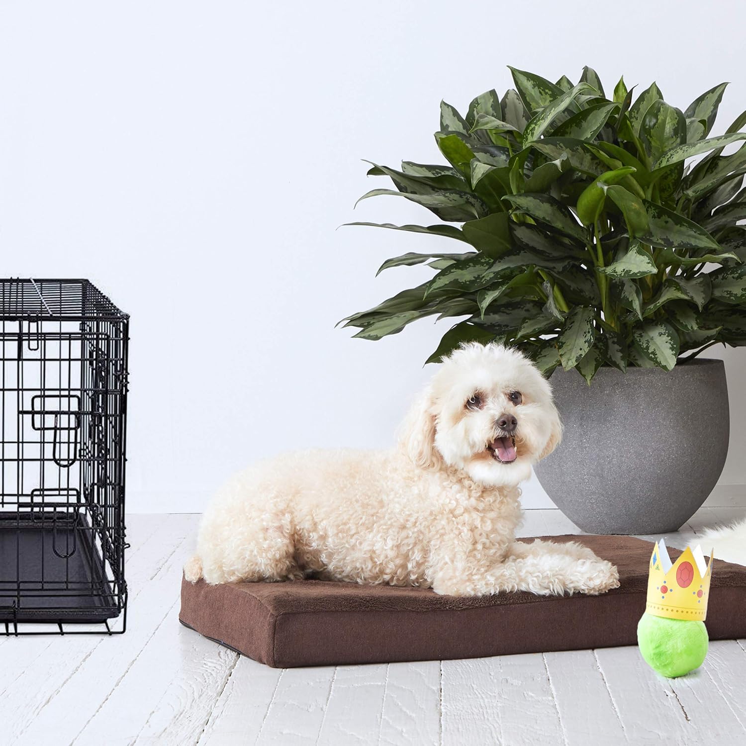 Best 15 lb espresso machine