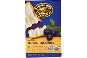 Nature's Path Organic Toaster Pastries Blueberry Frosted -- 11 oz