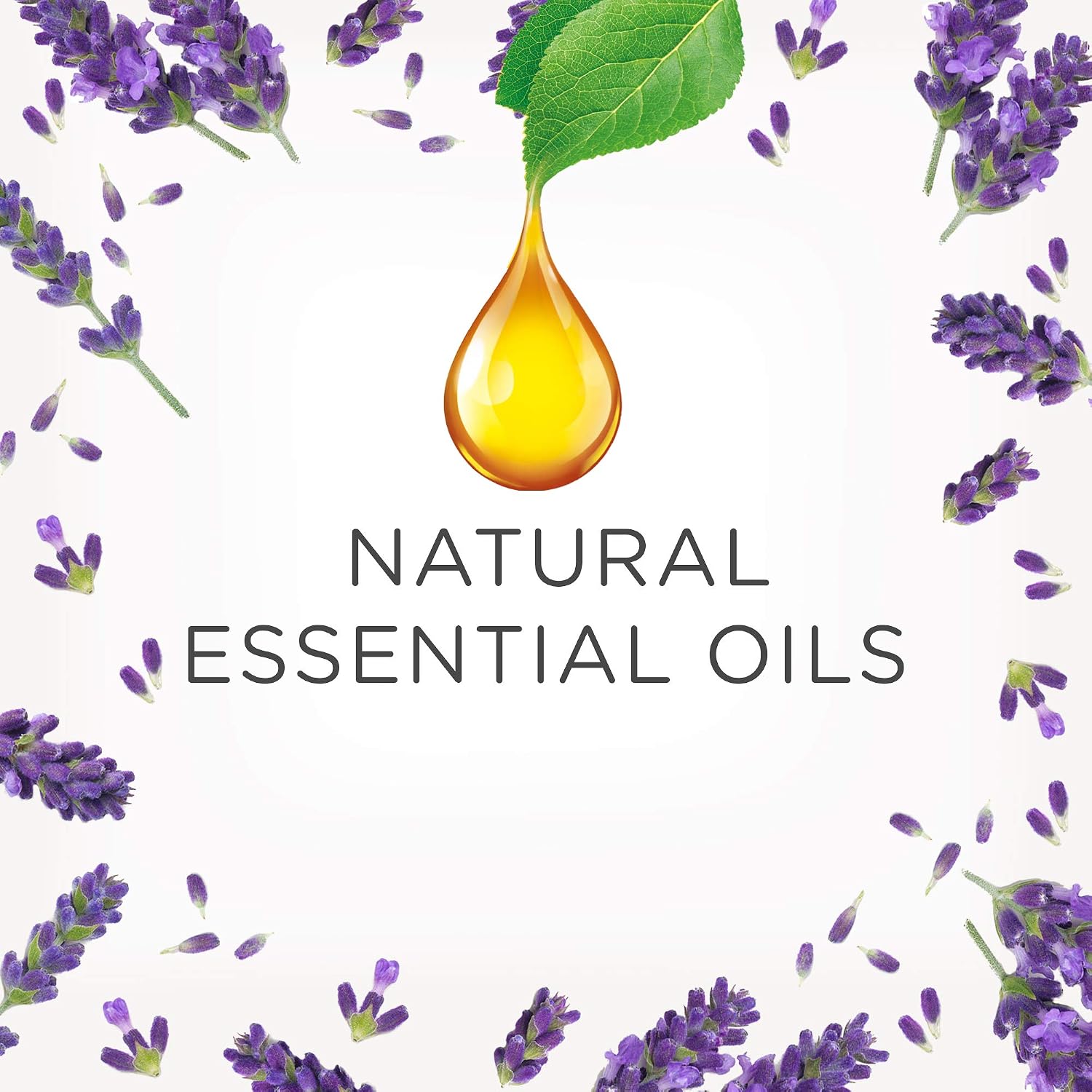 Airwick Scented Oil Warmer & Refill, Purple Lavender Meadow, 19 ml, Purple,Red - Image 4