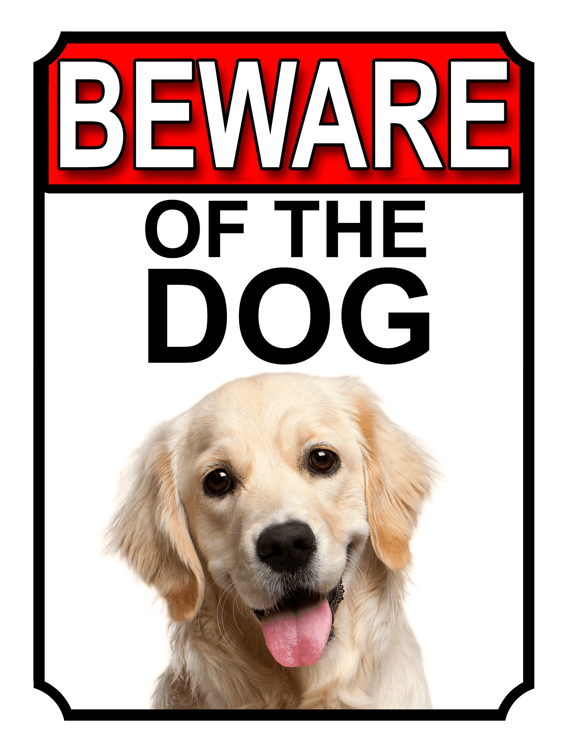 Shawprint Limited BEWARE OF THE DOG METAL GATE SIGN GOLDEN RETRIEVER 200MM X 150MM (1137H1)