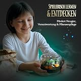 Clementoni Harry Potter Terrarium Kit | Build Magical Greenhouse | Science Toy view 6