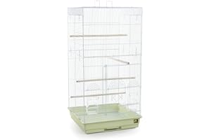 Prevue Pet Products SPECONO1818H-SG Tall Tiel Cage, Sage Green