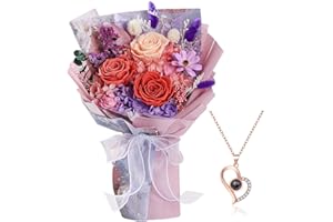 Eslibin Preserved Rose Birthday Flowers Bouquet with Necklace-Fresh Cut Flowers for Graduation Gift, Fresh Rose Flowers Bouquet for Delivery Prime, Gift for Her:Mother's Christmas Valentine's Day