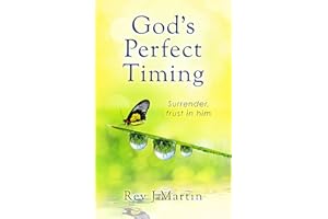 Gods Perfect Timing: Surrender, trust in him. Leave your stressful life behind.