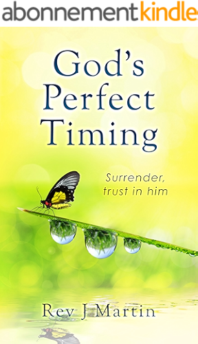 Download Gods Perfect Timing: Surrender, trust in him. Leave your stressful life behind. (English Edition) PDF