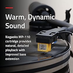 Fluance RT85N Turntable with Nagaoka MP-110