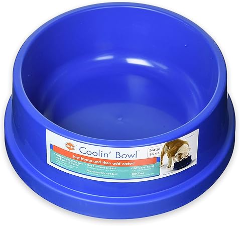 blue plastic dog bowl