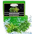 Vedazest Neem Tulsi Handmade Soap Bars, 125g Each, Herbal Natural Neem Tulsi Soap for Removing Dirt, Impurities, Reducing Acne & Blackheads, Set of 3