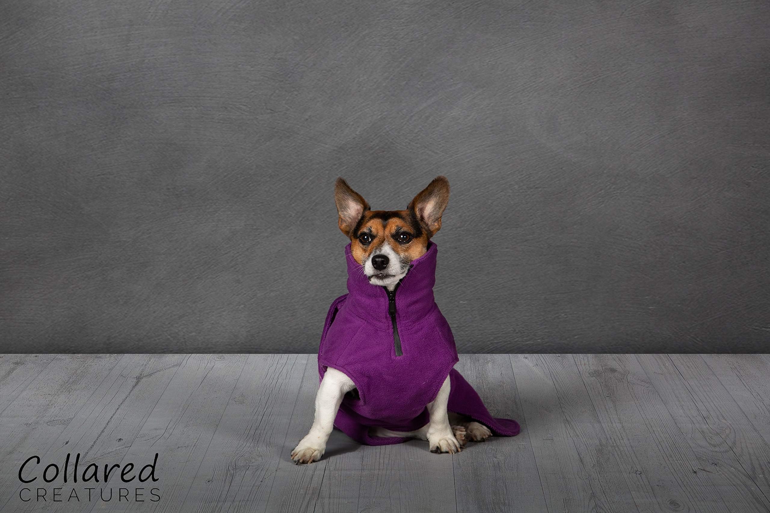 Collared Creatures Dog Drying Coat, Towling-Microfiber Lined Fleece Jacket Purple (available sizes XS, S, M, L, XL, XXL) (X-Small)