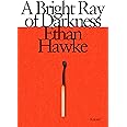 A Bright Ray of Darkness: A novel