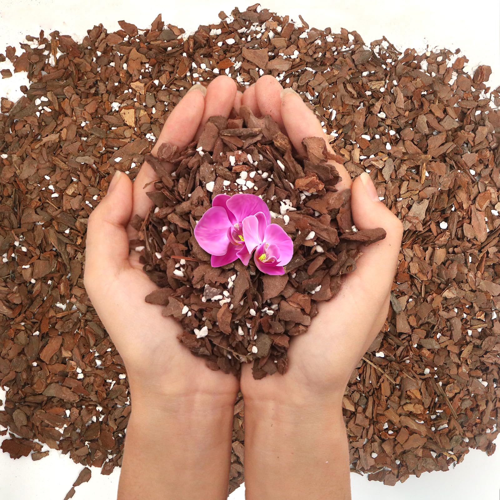 Photo 1 of 3QT Orchid Bark Potting Mix, Natural Orchid Potting Mix for Repotting, Blended with Small Pine Bark and Perlite to Provide Ideal Ventilation and Good Drainage for Orchids and Other Potted Plants