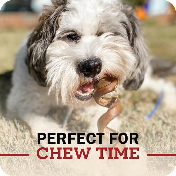 REDBARN PET PRODUCTS ALL NATURAL 5″-8″ BRAIDED BULLY STICKS FOR SMALL & LARGE DOGS – HEALTHY LONG LASTING BEEF CHEWS VARIETY PARTY PACK – SINGLE INGREDIENT LOW ODOR RAWHIDE FREE – 8 OZ BAG