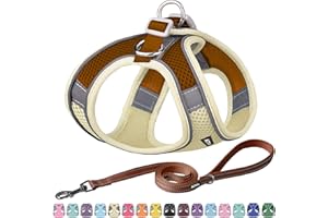 AIITLE Comfortable Dog Harness and Leash Set for Walking - Summer Step in Vest Harness,Reflective Bands, Adjustable No Pull Puppy Essentials, for Small Dogs and House Cats Beige XS