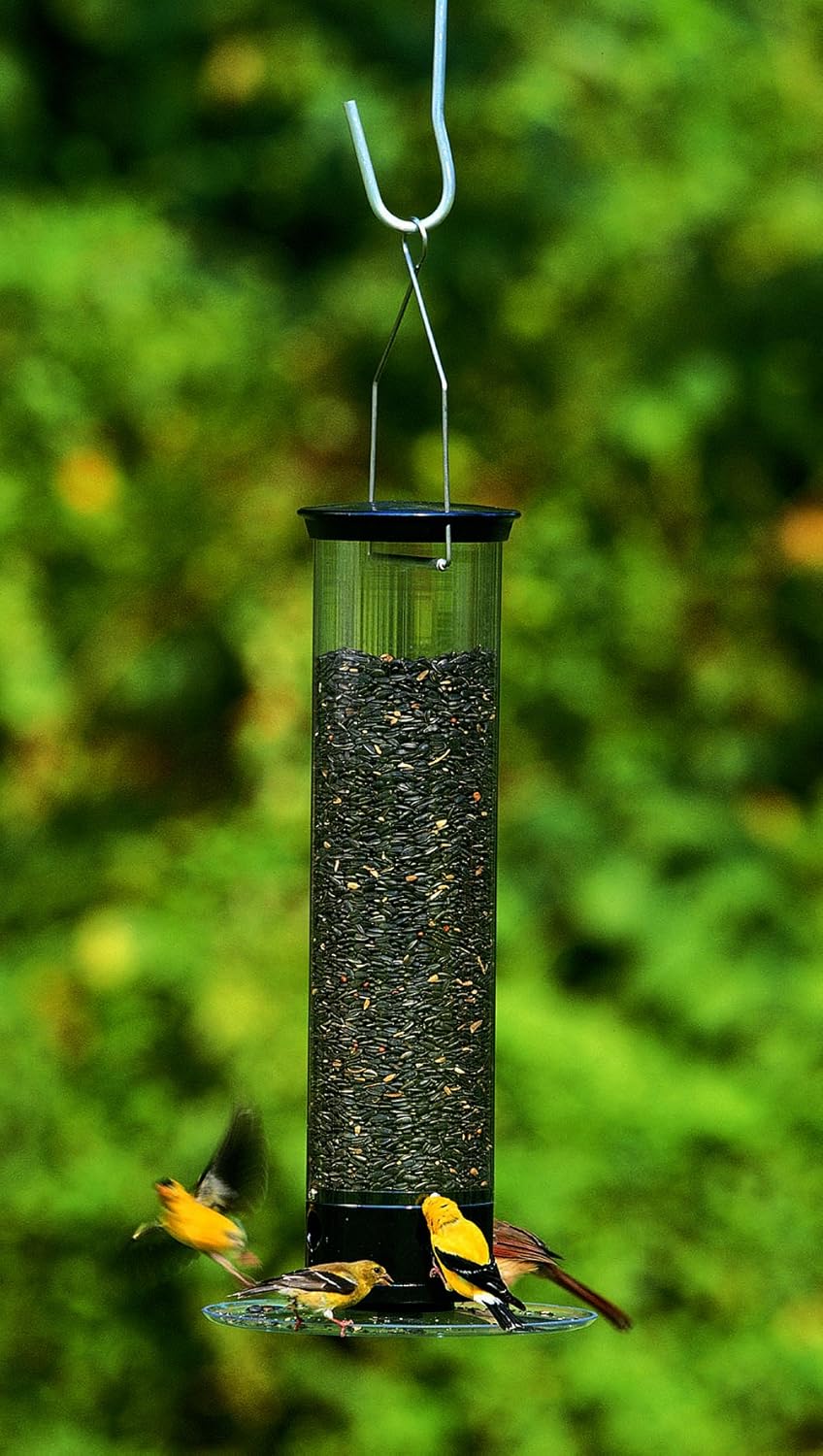 Droll Yankee Flipper Squirrel Proof Feeder Bird Feeder Home