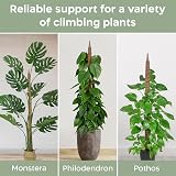 K-Brands Moss Pole Bendable 48 In Plant Support 2 Pack with Ties view 4