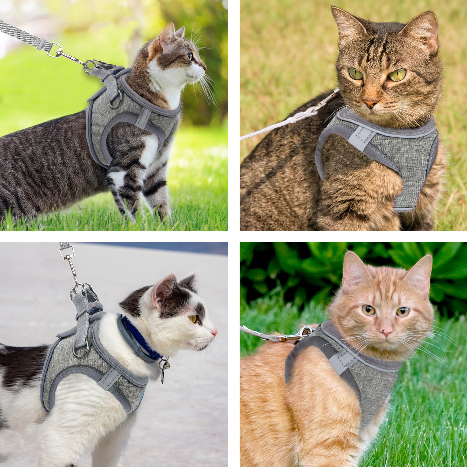 View 5