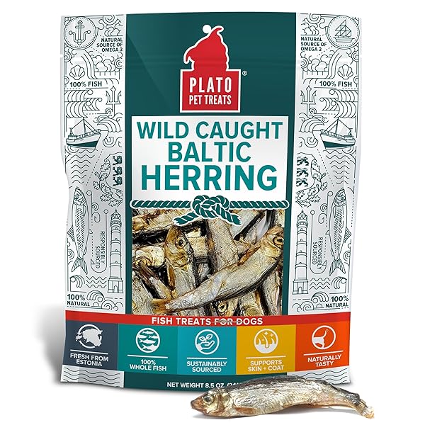 PLATO PET TREATS FISH DOG TREATS – AIR-DRIED, SINGLE INGREDIENT DOG TREAT – WITH OMEGA 3 & 6 FATTY ACIDS TO SUPPORT SKIN AND COAT – 100% WHOLE FISH – WILD CAUGHT BALTIC HERRING DOG TREATS – 8.5 OZ