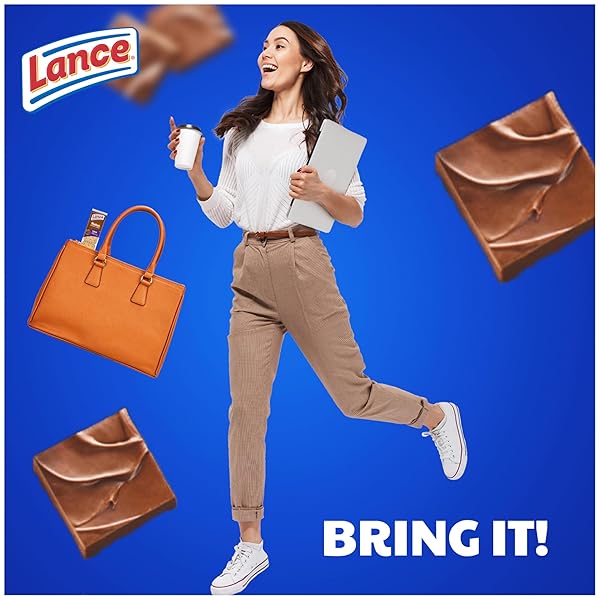 LANCE SANDWICH COOKIES, NEKOT FUDGE, 10 INDIVIDUALLY WRAPPED PACKS, 6 SANDWICHES EACH