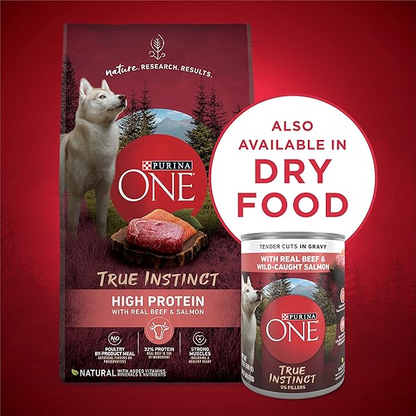 PURINA ONE HIGH PROTEIN WET DOG FOOD TRUE INSTINCT TENDER CUTS IN DOG FOOD GRAVY WITH REAL BEEF AND WILD-CAUGHT SALMON – (PACK OF 12) 13 OZ. CANS