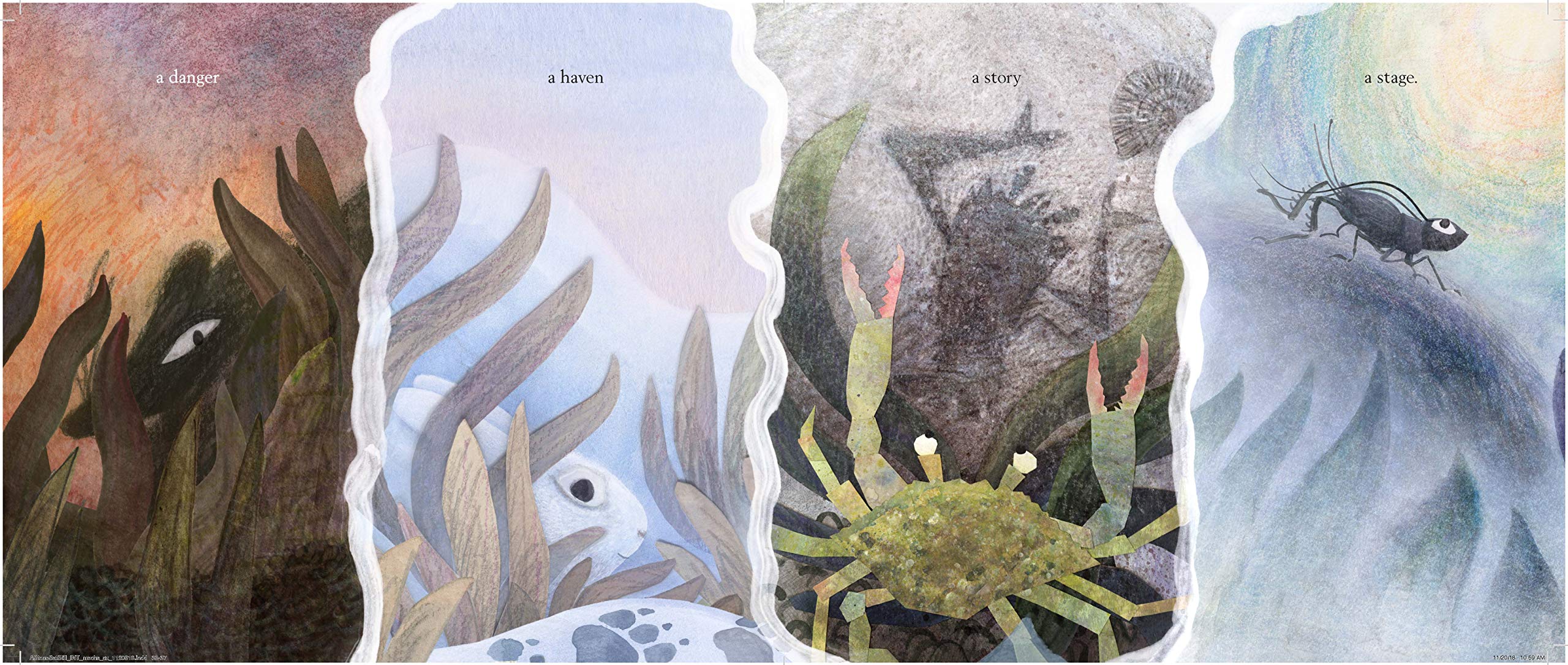 A Stone Sat Still: (Environmental and Nature Picture Book for Kids, Perspective Book for Preschool and Kindergarten, Award Winning Illustrator) (Brendan Wenzel)