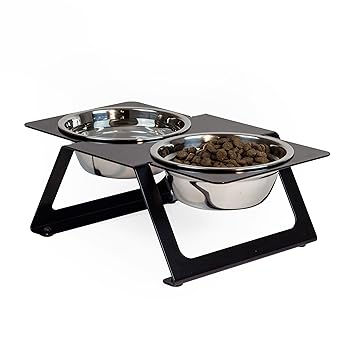 Amazon Com Drip Module 0325 Bk Dripmodule Modern Box I Pet Feeder