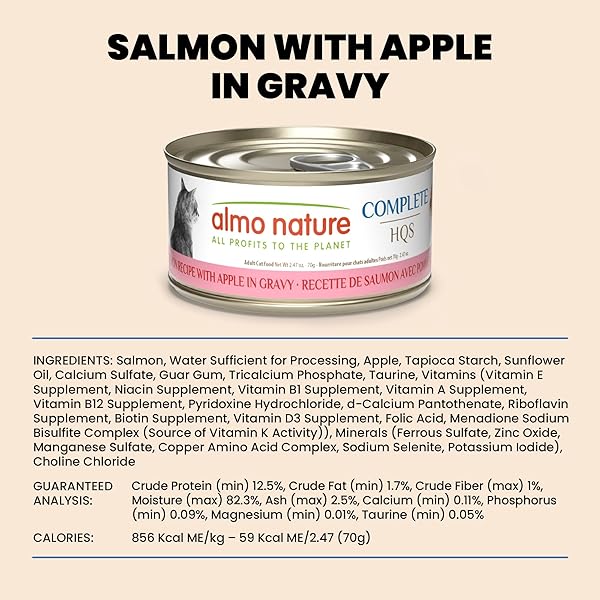 ALMO NATURE HQS COMPLETE CAT WET CAT FOOD SALMON RECIPE WITH APPLE IN GRAVY – GRAIN-FREE CAT FOOD CANNED, 2.47 OZ (PACK OF 12)