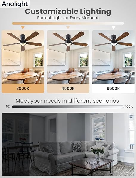 ANOLIGHT 52 INCH CEILING FAN WITH LIGHT, FLUSH MOUNT LOW PROFILE, REMOTE & APP CONTROL, QUIET 6-SPEED REVERSIBLE MOTOR, DIMMABLE LED WITH 3CCT, CEILING FAN FOR BEDROOM, LIVING ROOM, APARTMENT, BLACK