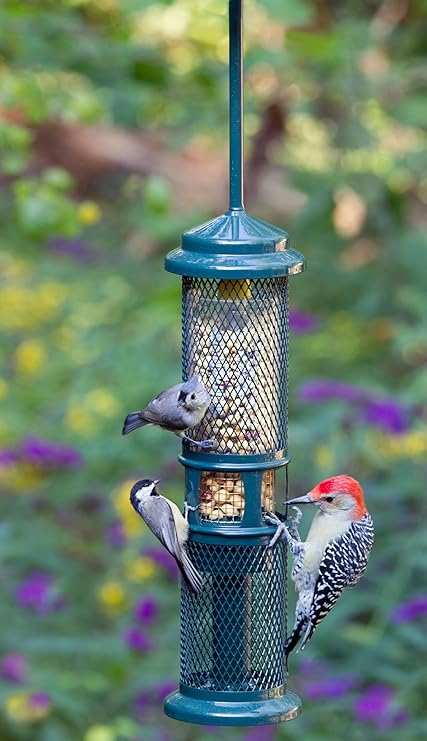 Amazon Com Brome Bird Care Bd1052 Squirrel Buster Peanut Set