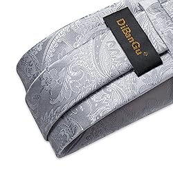 DiBanGu Silk Paisley Ties for Men Woven Necktie and