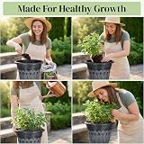 SG Traders Large Tampa Urn Plant Pot Stand Pack of 2 33x39cm UV Resistant view 7
