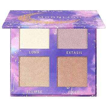 bronzer highlighter palette