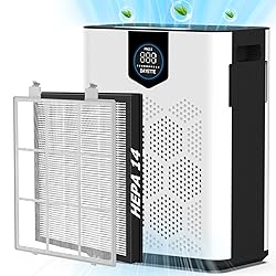 DAYETTE Air Purifiers for Home with H14 Hepa