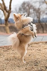 puppia Junior Over-The-Head Dog Harness Checkered