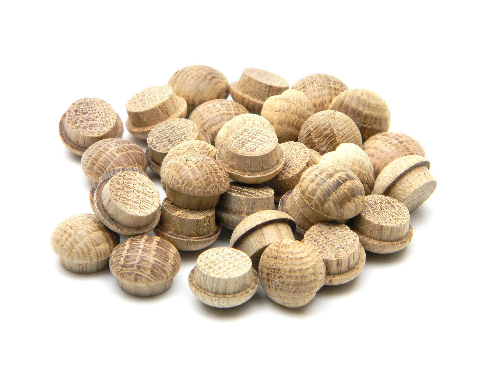 Oak Mushroom Plug 1/2" - Pack of 50