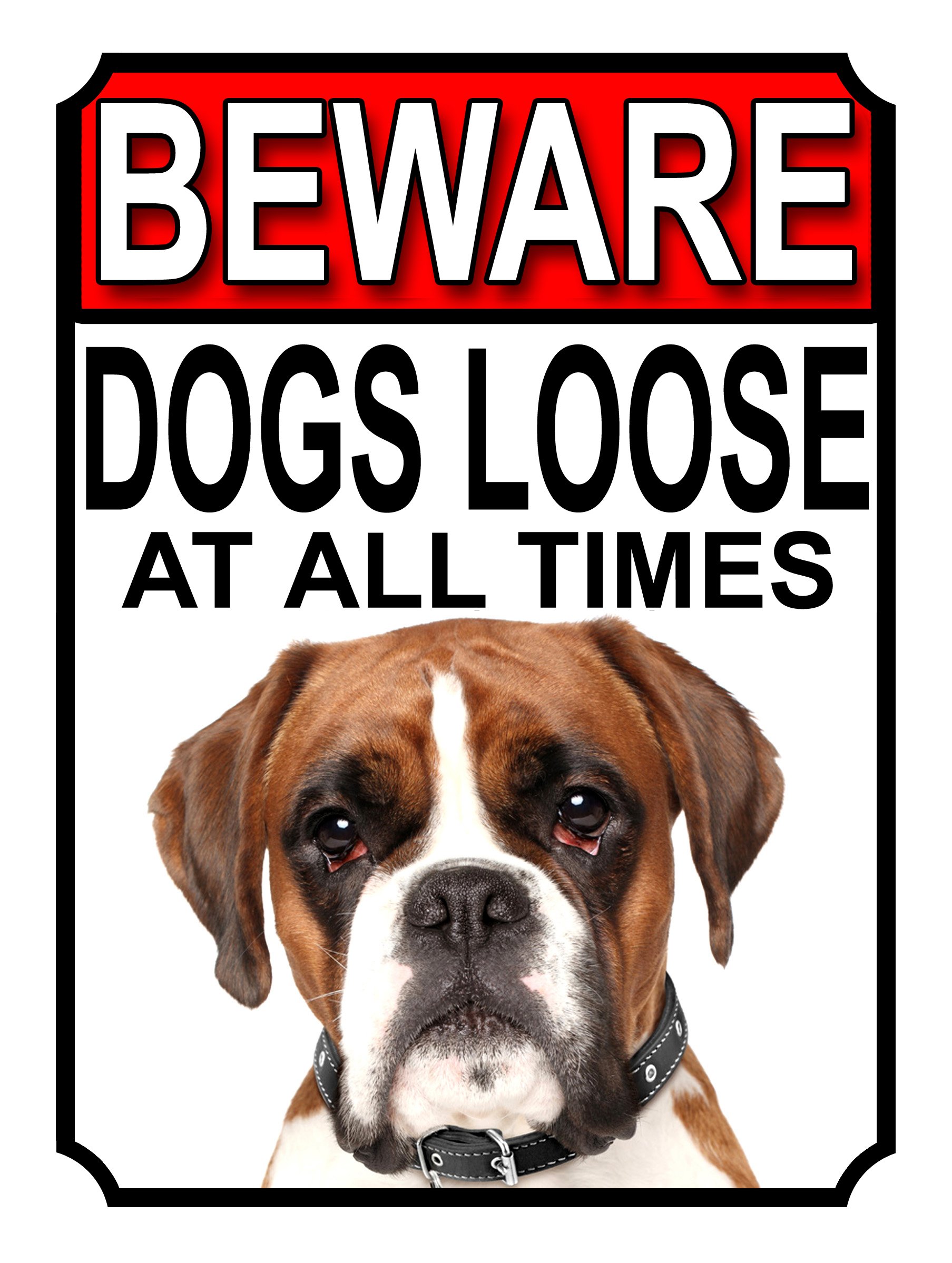 SHAWPRINT BEWARE DOGS LOOSE AT ALL TIMES METAL SIGN BOXER 200MM X 150MM (981H1)
