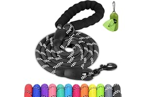Joytale Dog Leash for Large Dogs, Heavy Duty Nylon Leashes with Comfortable Padded Handle and Highly Reflective Threads, Ideal for Walking and Training, Black, 6'×1/2''