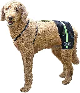 sling for dogs with hip problems