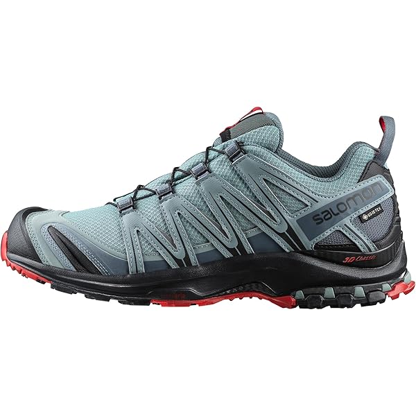 Amazon.com | Salomon Mens XA Pro 3D V9 Deep Lichen Green/Safari