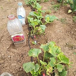 Xddias Sistema de Riego por Goteo, 30m Automático Riego Manguera ...