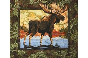 HARTSER Toni Whitney Design Hidden Lake Applique Quilt Pattern