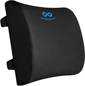 Everlasting Comfort Lumbar Support Pillow for Office Chair - Pure Memory Foam Lumbar Cushion for Car (Black)