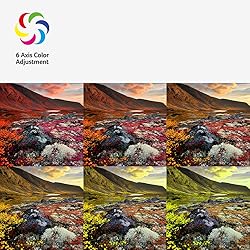 Acer K202Q bi 19.5-inch Professional