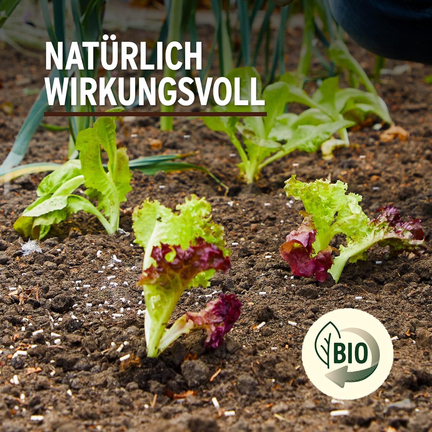 Substral Naturen Schneckenkorn Limex Bio 1,2kg 400m² Schneckenbekämpfung 3